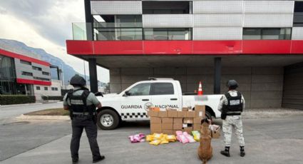 Guardia Nacional asegura más de 80 paquetes con droga en Santa Catarina