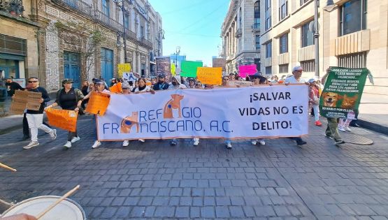 Gobierno condiciona dialogo con animalistas del Refugio Franciscano a respeto a acuerdos