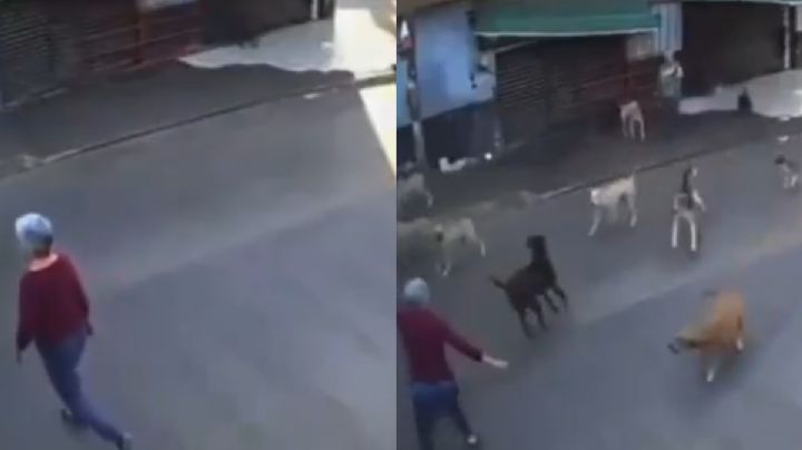 VIDEO | Abuelita es atacada por una jauría de 15 perros en Morelos