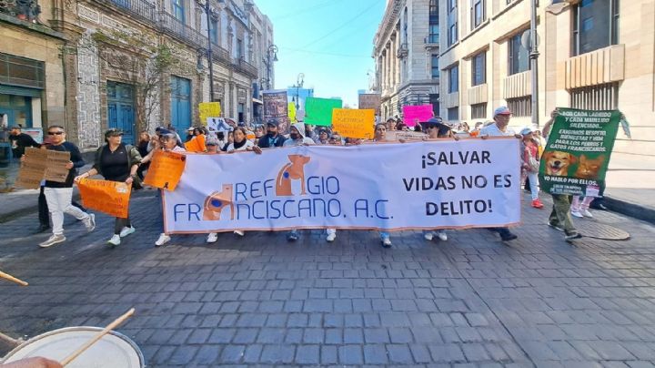 Gobierno condiciona dialogo con animalistas del Refugio Franciscano a respeto a acuerdos