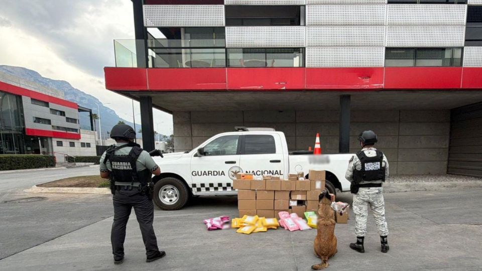 Elementos de la Guardia Nacional aseguraron paquetes con droga durante una inspección en una empresa de mensajería en Santa Catarina, Nuevo León.