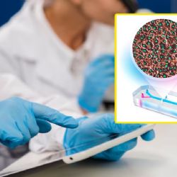 UNAM sorprende al crear el primer hígado en chip capaz de imitar las funciones del órgano