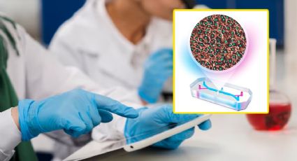 UNAM sorprende al crear el primer hígado en chip capaz de imitar las funciones del órgano