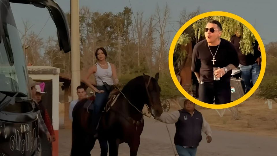 El caballo podría tener entre siete y doce años, una etapa considerada ideal en el mercado ecuestre.