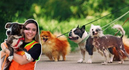 Centro Estatal de Atención Animal organiza paseo para perros en resguardo; aquí todos los detalles