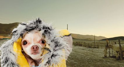 Frente frío 28 en Nuevo León: estas serán las temperaturas más bajas 15 y 16 de enero