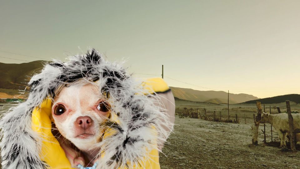 El frente frío 28 provocará bajas temperaturas y posibles heladas en zonas serranas de Nuevo León durante la madrugada.