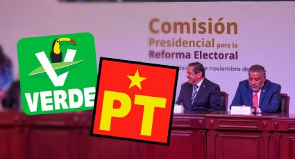 Reforma electoral: PT y PVEM acuerdan construir propuesta conjunta y descartan divisiones internas
