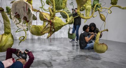 MARCO impulsa a jóvenes fotógrafos con la cuarta edición del Programa Fredric Roberts 2026