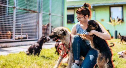 Refugio Franciscano en CDMX: ¿Cómo ayudar a los animales rescatados?