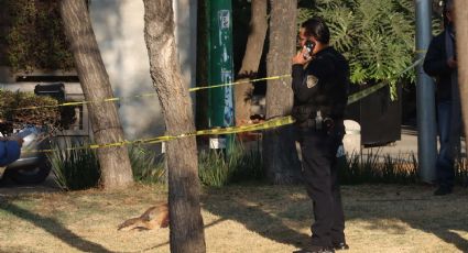 Cuatro personas baleadas en hechos distintos; uno falleció en el hospital