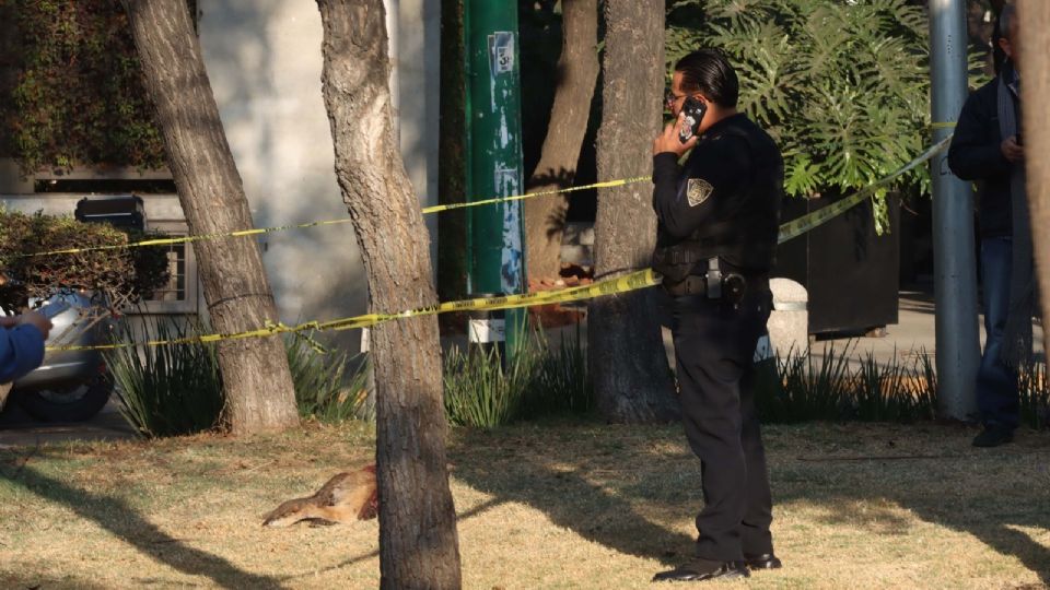 Los sospechosos que cometieron la agresión huyeron aparentemente en una motocicleta.