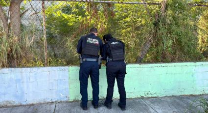 Rescatan a perrita abandonada y fracturada en Guadalupe