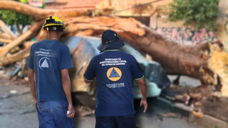 Salvador Guerrero Chiprés asegura que la población ha fortalecido de manera significativa su capacidad de respuesta ante sismos desde los terremotos de 1985 y 2017.