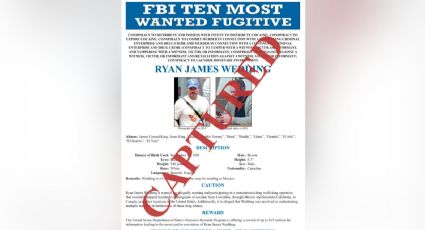 Director del FBI agradece a Sheinbaum y a Harfuch cooperación tras detención de Ryan Wedding