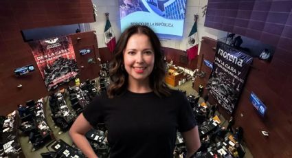 Plurinominales: 3 mitos y realidades que definen el futuro del Congreso