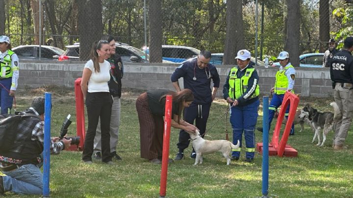 La brigada de vigilancia animal ya se acondicionó para recibir a todos los perros del Franciscano