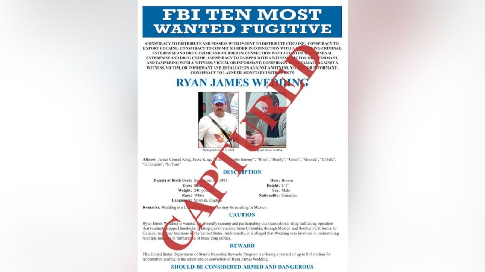 Capturaron a Ryan Wedding.