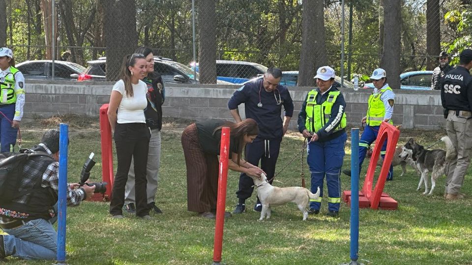 La jefa de Gobierno recorrió las zonas ampliadas de la Brigada de Vigilancia Animal, donde ya habitan los primeros 300 perros rescatados del refugio clausurado.