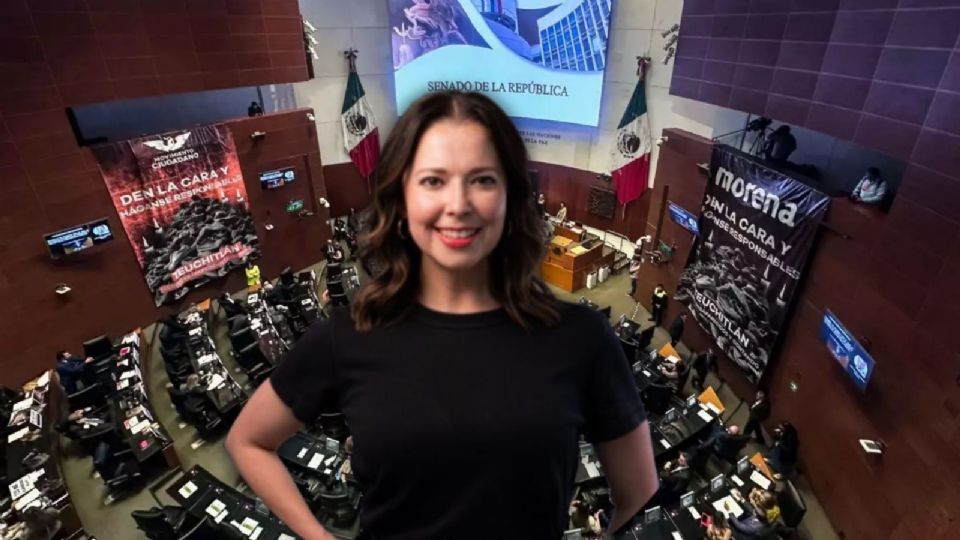 La figura de los legisladores de representación proporcional se encuentra en el ojo del huracán.