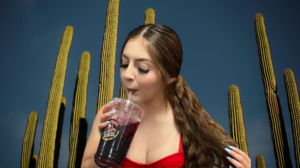 La Nicholette, con una fuerte presencia en plataformas como TikTok, Instagram y OnlyFans, dividía su tiempo entre México y Phoenix, Arizona.