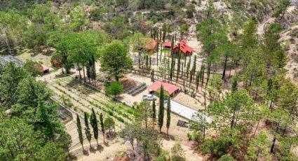 UANL se mantiene como la universidad más sustentable de México en 2025