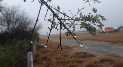 Se registra agua nueve y hielo al norte de Nuevo León