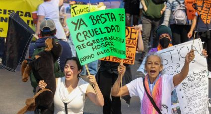 Asegura gobierno capitalino que prioriza diálogo en caso de Refugio Franciscano