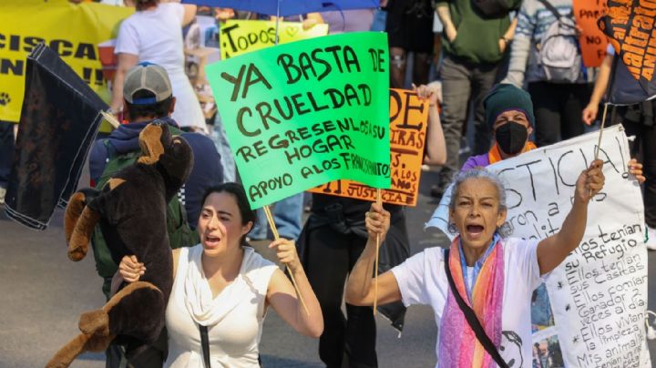 Asegura gobierno capitalino que prioriza diálogo en caso de Refugio Franciscano