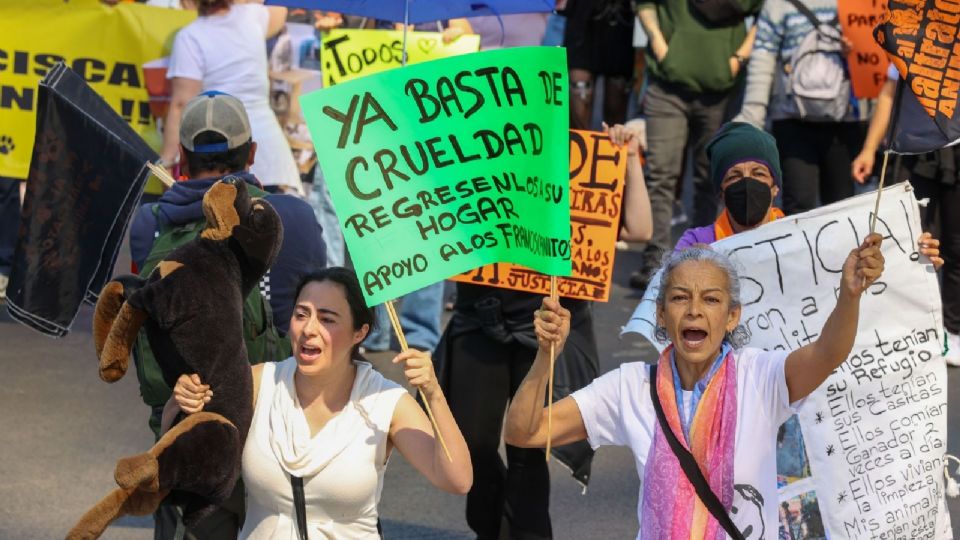 Como resultado de estos encuentros, se acordó realizar visitas programadas.