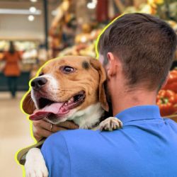 VIDEO | 'Mi perro está más limpio': joven estalla contra una mujer en Costco y se hace viral