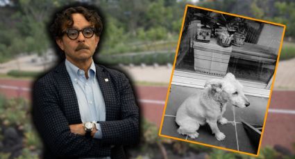 ‘Este era mi adorable Vito’: Gabriel Quadri denuncia que pastor belga atacó y mató a su perro