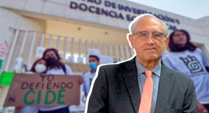 CIDE: ¿Qué implica la llegada de Lucero Ibarra tras el despido de Romero Tellaeche?