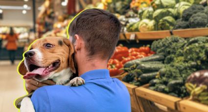 VIDEO | 'Mi perro está más limpio': joven estalla contra una mujer en Costco y se hace viral