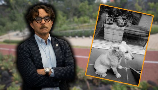 ‘Este era mi adorable Vito’: Gabriel Quadri denuncia que pastor belga atacó y mató a su perro