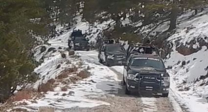 Operativo Muralla frena ingreso de grupo armado y logra nueve capturas en Dr. Coss