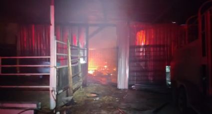 Incendio consume tres tejabanes en Los Alcatraces de Juárez; no hay lesionados