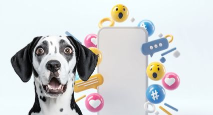 VIDEO | Captan a sujeto tirando un cachorro desde un Chevrolet Spark en Los Mochis