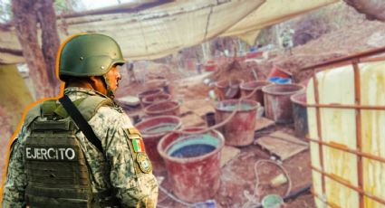 Ecocidio y 'cara de viejitos': El impacto ambiental y humano de los laboratorios de droga en México