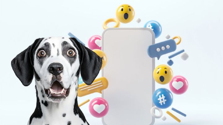 VIDEO | Captan a sujeto tirando un cachorro desde un Chevrolet Spark en Los Mochis