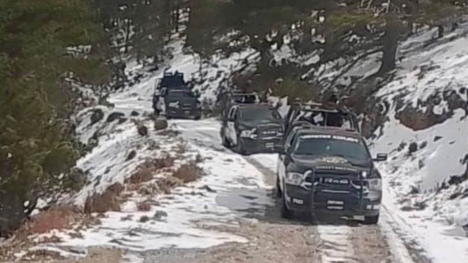 Elementos de fuerzas estatales y federales aseguraron armas de alto poder y detuvieron a nueve hombres durante el Operativo Muralla en el municipio de Dr. Coss.