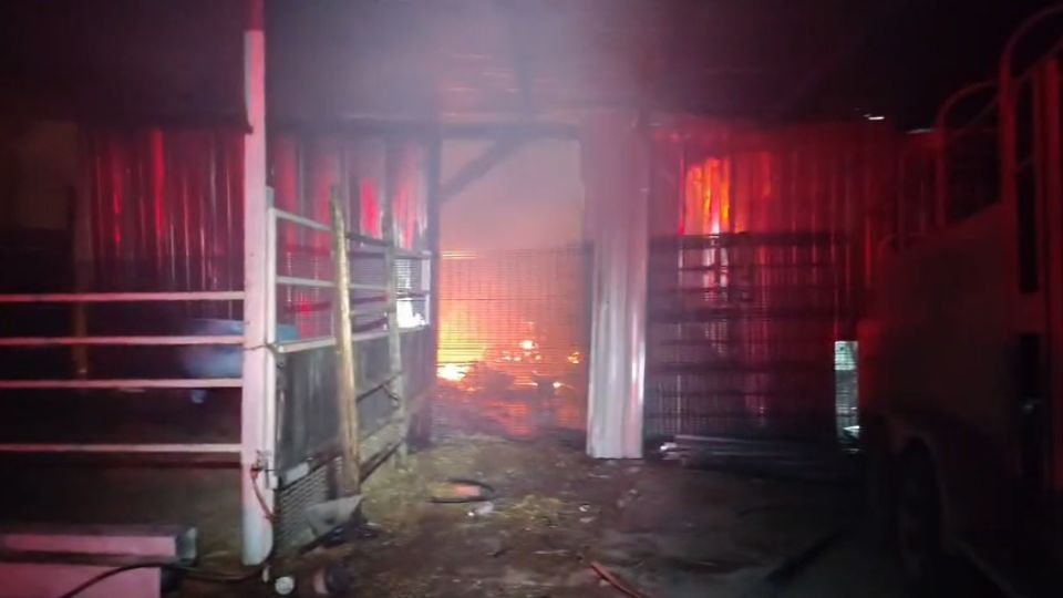 Elementos de Protección Civil y Bomberos de Juárez sofocaron un incendio que consumió tres tejabanes en la colonia Los Alcatraces, sin personas lesionadas.