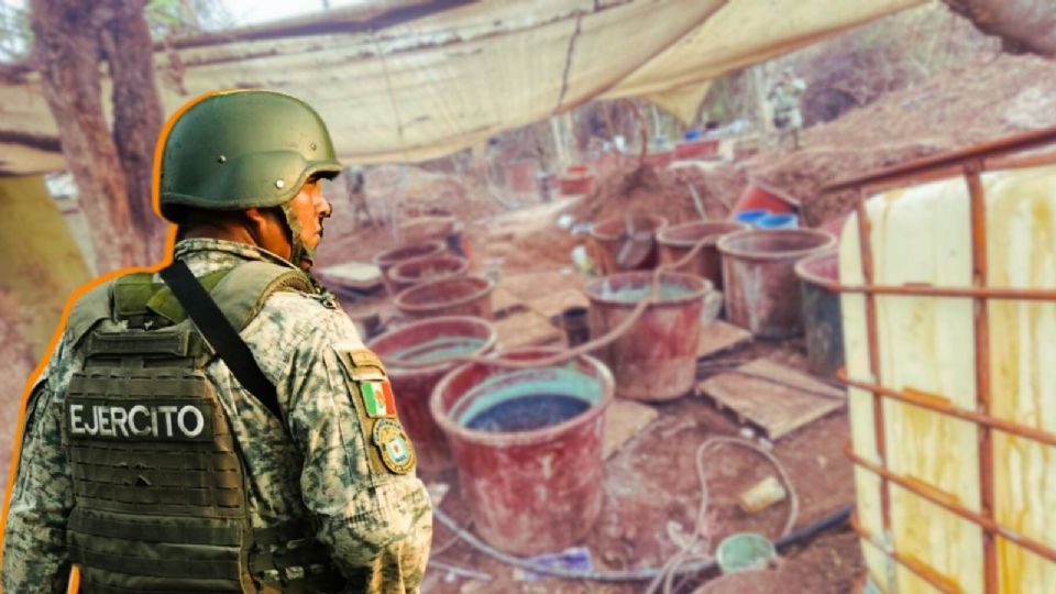 En México los grupos delictivos no solo operan como generadores de violencia, sino como agentes de un ecocidio sistemático.