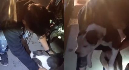 Rescatan a perrita durante incendio en vivienda de Ciénega de Flores