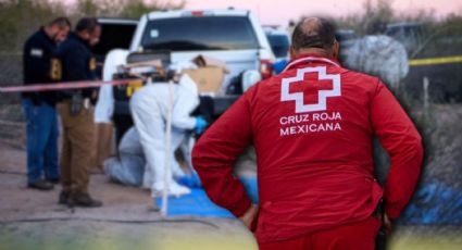 Cruz Roja lanza campaña para transformar la búsqueda de desaparecidos en México