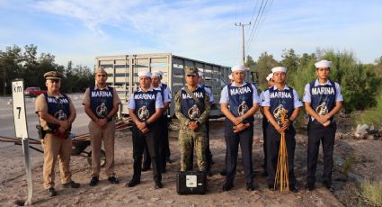 Marina y sociedad civil recolectan más de una tonelada de basura en manglares de Ecoparque, La Paz