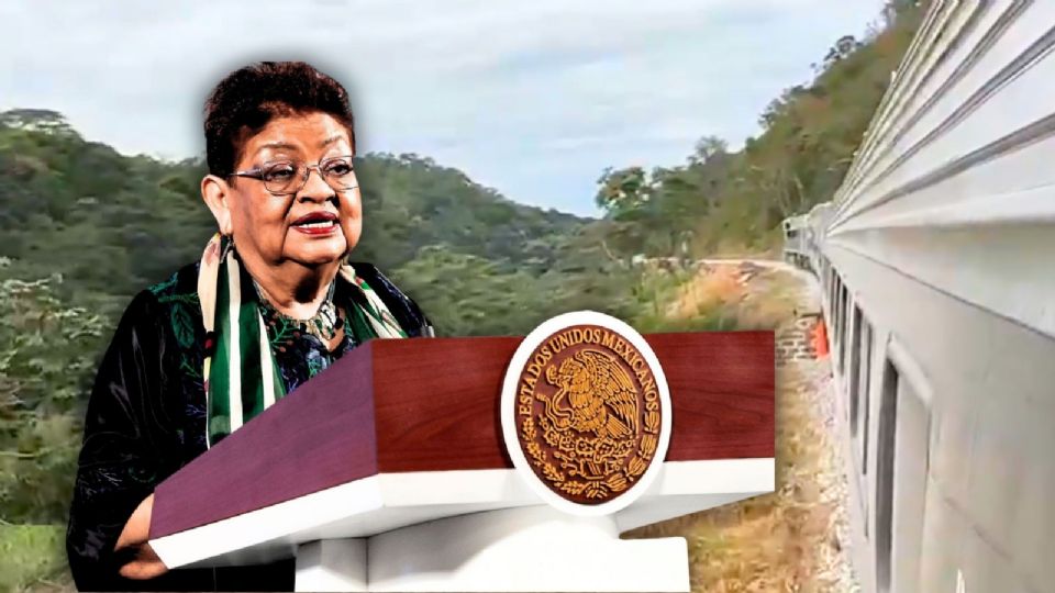 El proyecto pudo haberse apresurado, utilizando una infraestructura diseñada originalmente para carga.