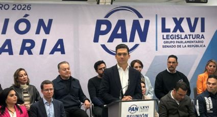 PAN rechaza eliminar plurinominales y debilitar al INE en reforma electoral