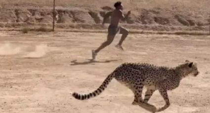 VIDEO | Compite contra guepardo y es atacado en peligroso reto, ¿qué le pasó y quién ganó?