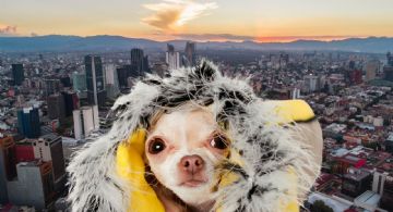 La Niña en México: ¿qué efectos tendrá en el clima este enero?